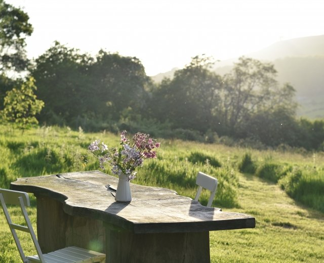 Glamping holidays in Powys, Mid Wales - Wild Meadow